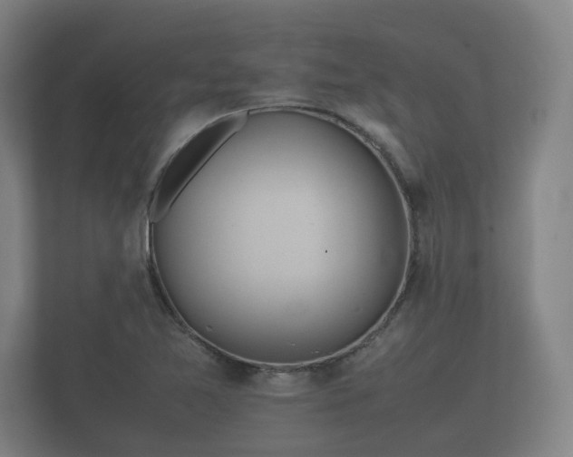 X0000112371365200908201454