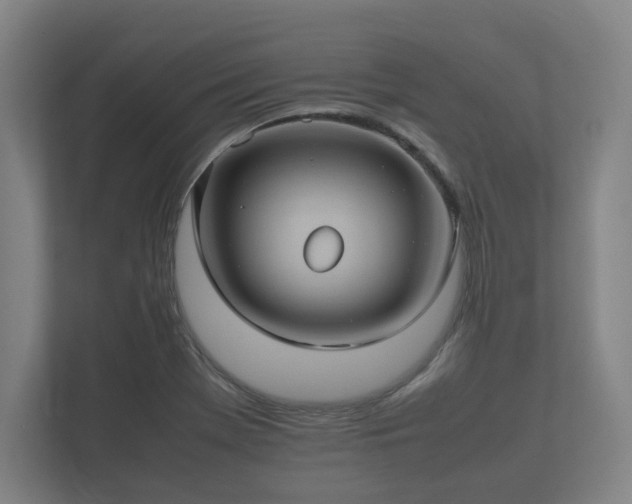 X0000112371369200908201454