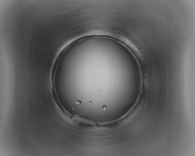 X0000112371372200908201454