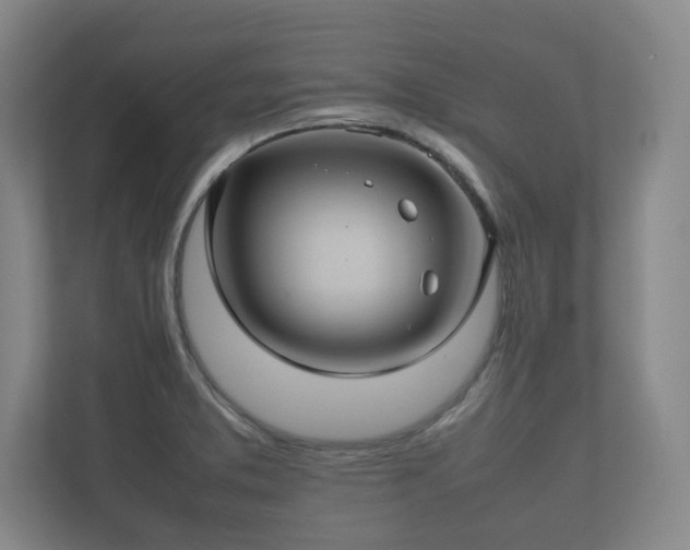 X0000112371373200908201454