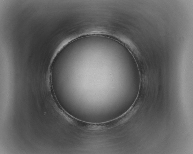 X0000112371374200908201454