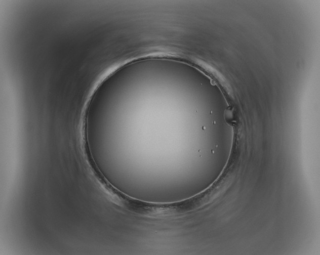 X0000112371375200908201453