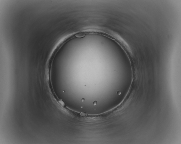 X0000112371376200908201453