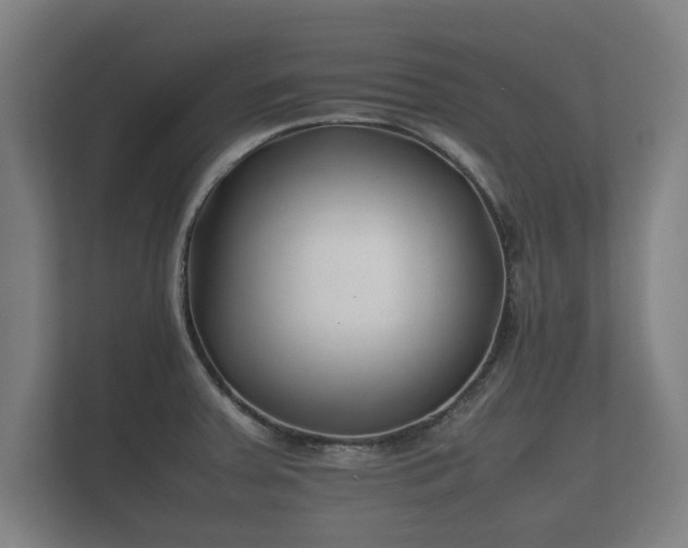 X0000112371379200908201453