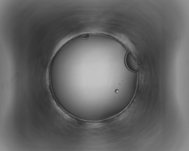 X0000112371382200908201453