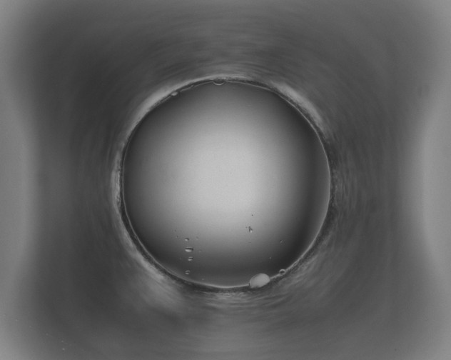 X0000112371383200908201453