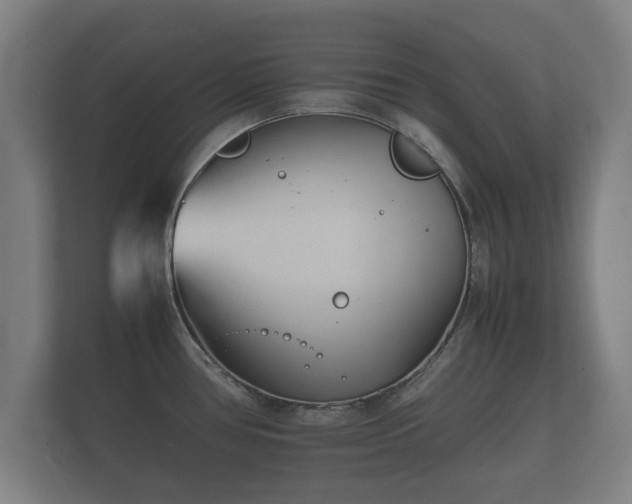 X0000112371386200908201453