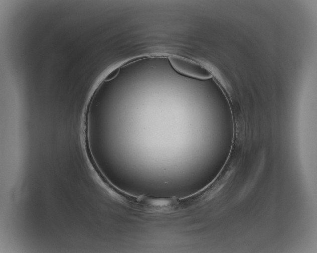 X0000112371387200908201453