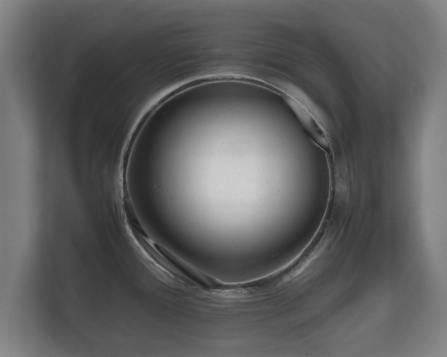 X0000112371388200908201453