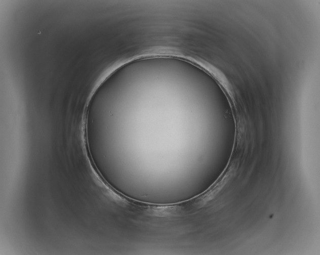 X0000112371390200908201453