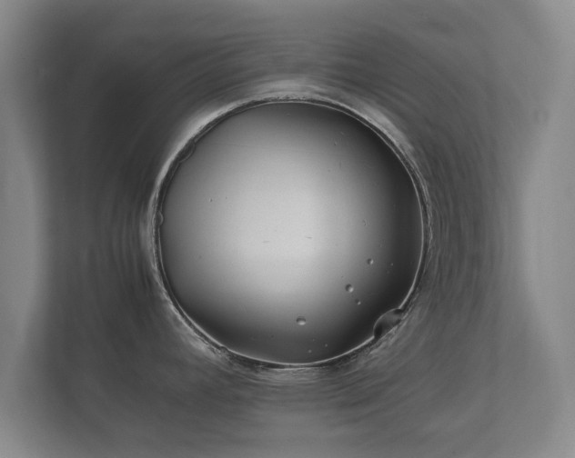 X0000112371392200908201453