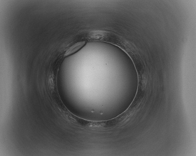 X0000112371394200908201453