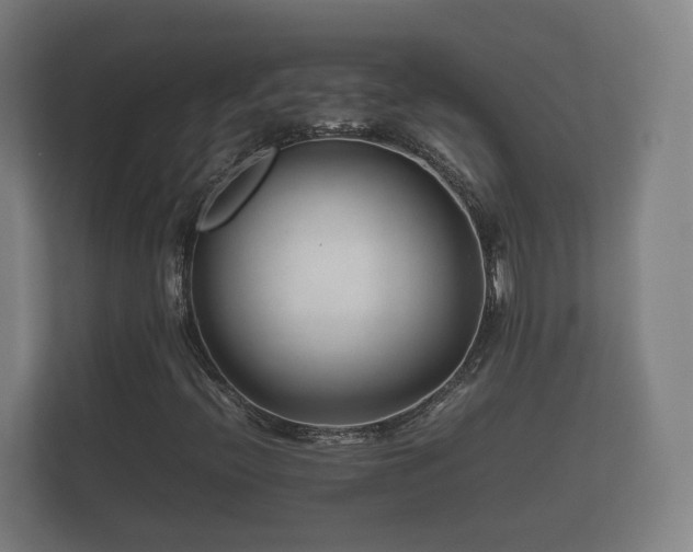 X0000112371396200908201453