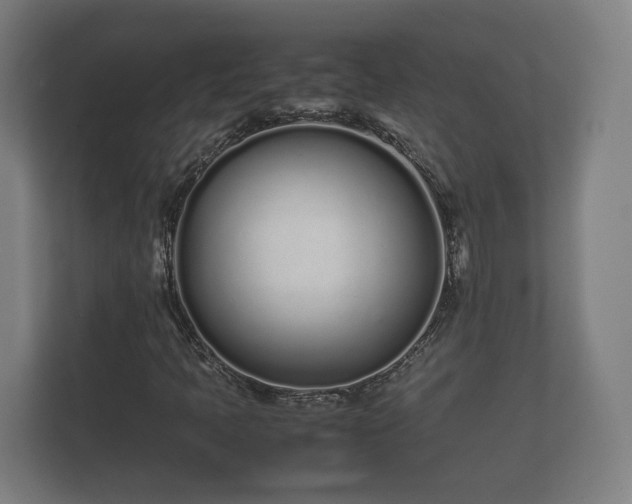 X0000112371397200908201453