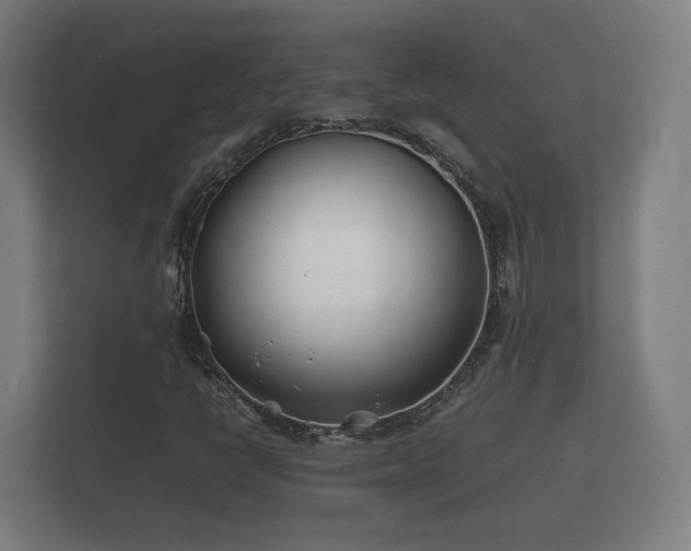 X0000112371398200908201453