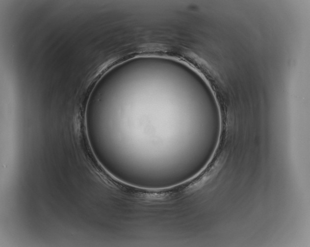 X0000112371401200908201453