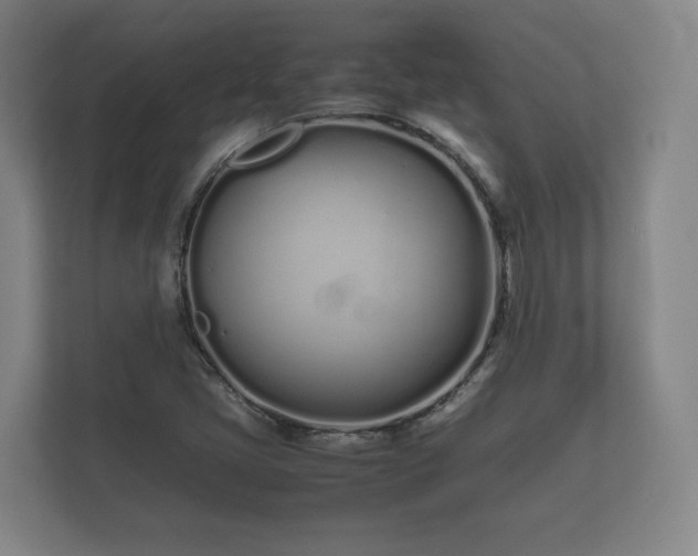 X0000112371405200908201453