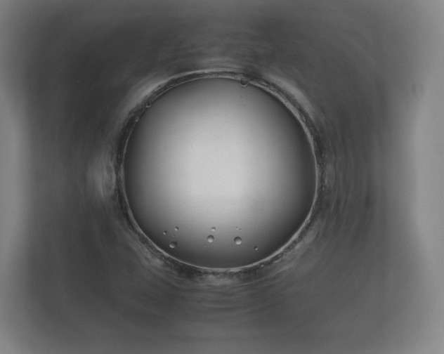 X0000112371407200908201453