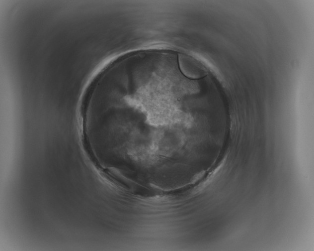 X0000112371414200908201453