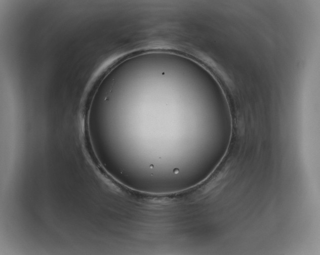 X0000112371416200908201453