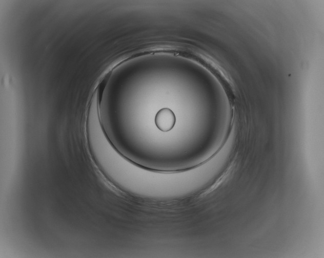 X0000112371417200908201453