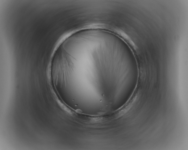 X0000112371421200908201453