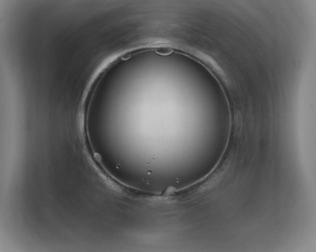 X0000112371424200908201453