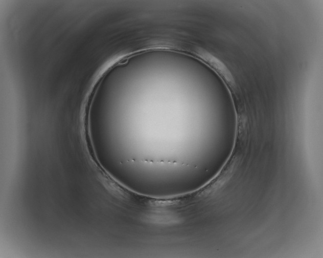 X0000112371427200908201453