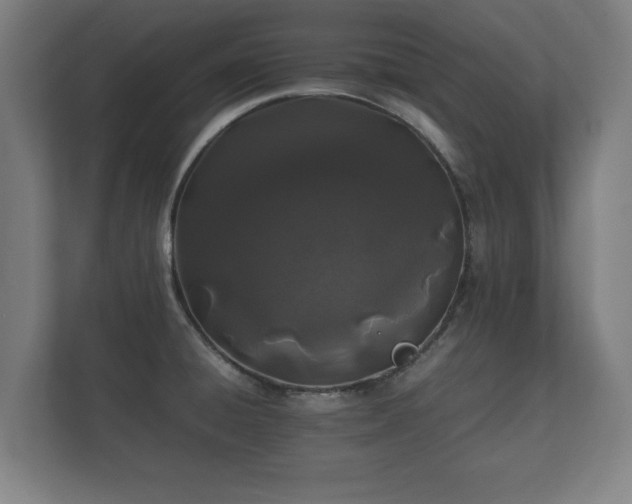 X0000112371428200908201453