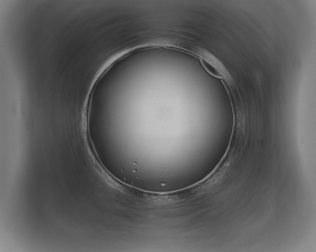 X0000112371436200908201453