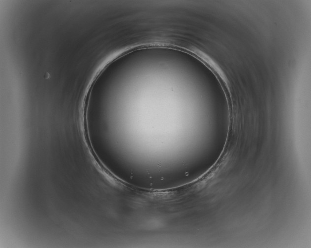 X0000112371437200908201453