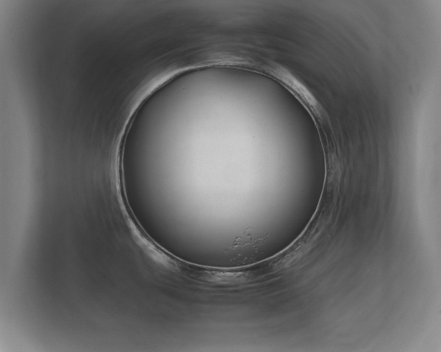 X0000112371439200908201453