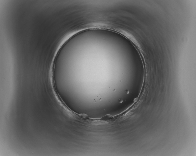 X0000112371440200908201453