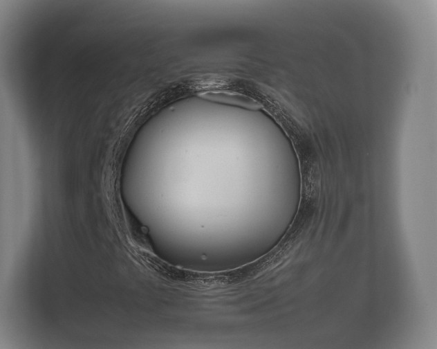 X0000112371441200908201453