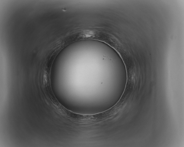 X0000112371442200908201453