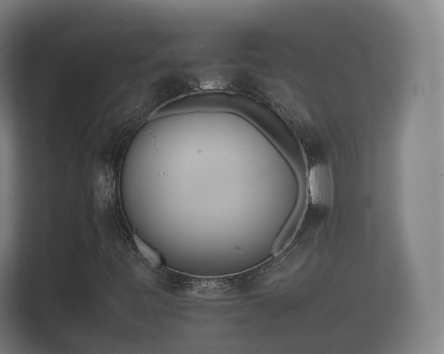 X0000112371443200908201453