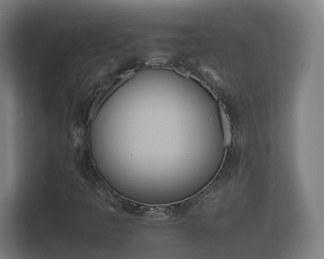 X0000112371445200908201453