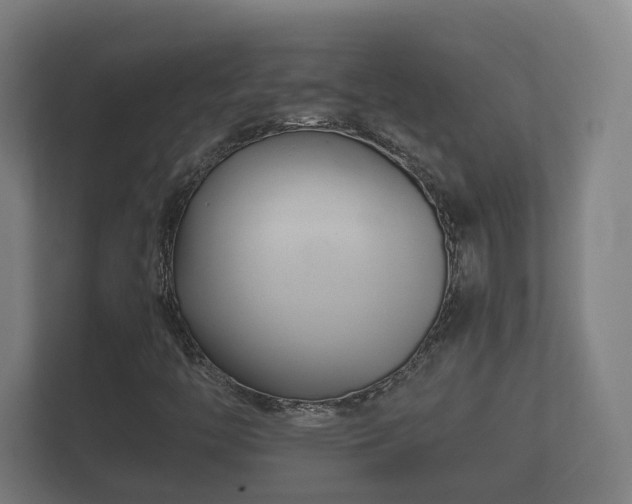 X0000112371446200908201453