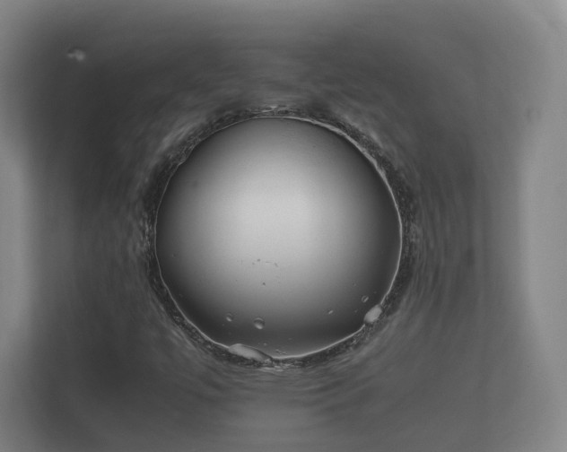 X0000112371447200908201453