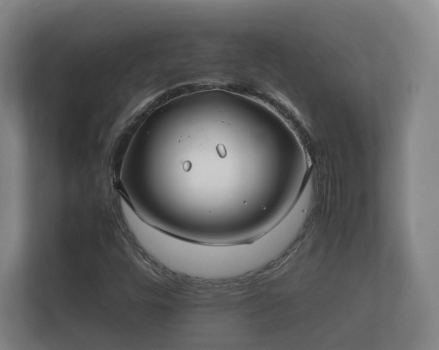 X0000112371448200908201453