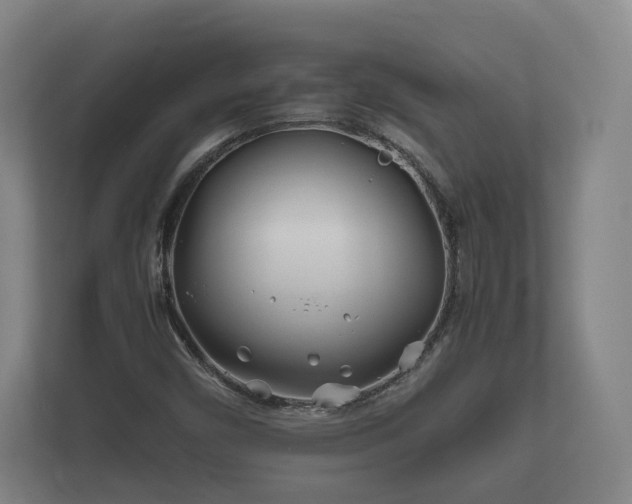 X0000112371450200908201453