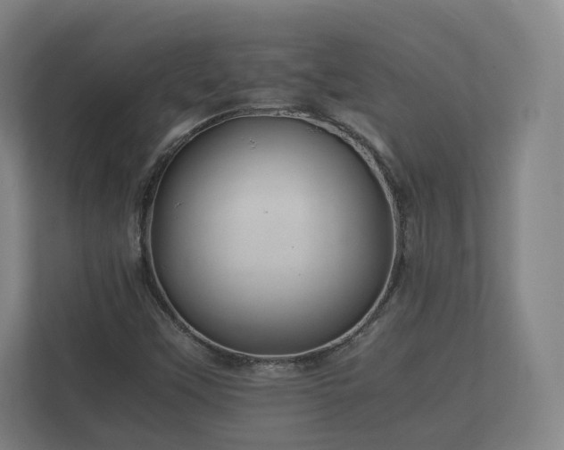 X0000112371451200908201453