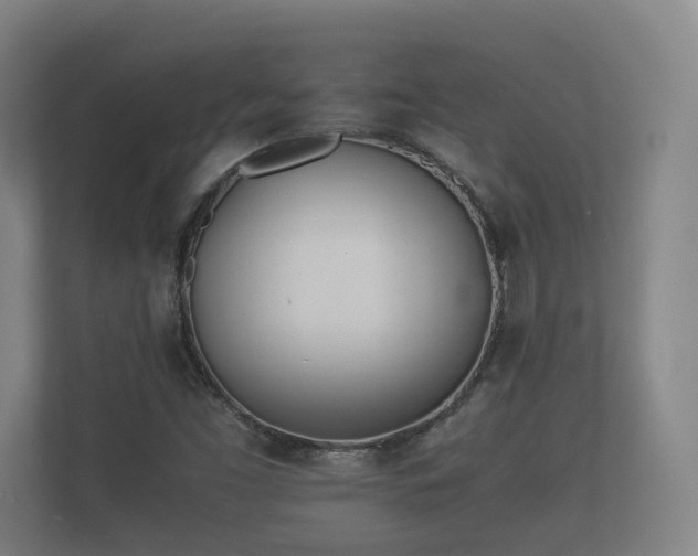 X0000112371453200908201452