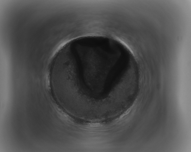 X0000112371455200908201452