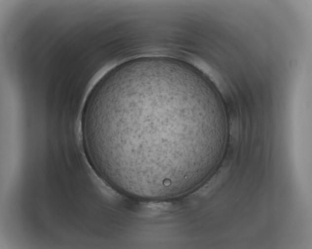 X0000112371466200908201452