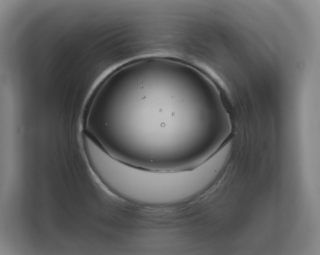 X0000112371468200908201452