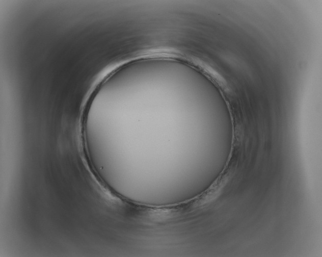 X0000112371470200908201452