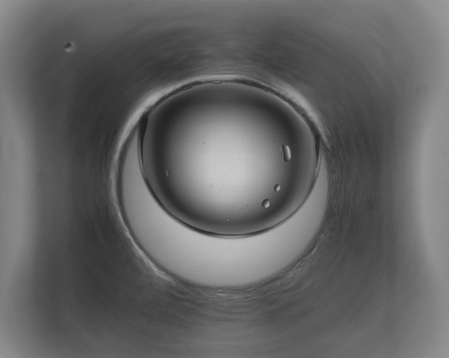 X0000112371472200908201452