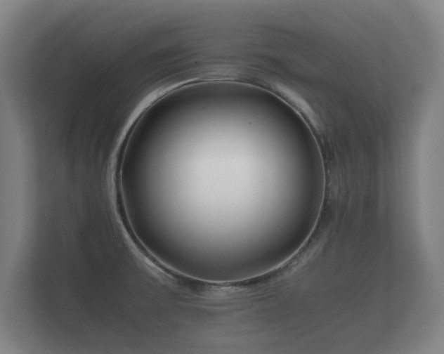 X0000112371475200908201452