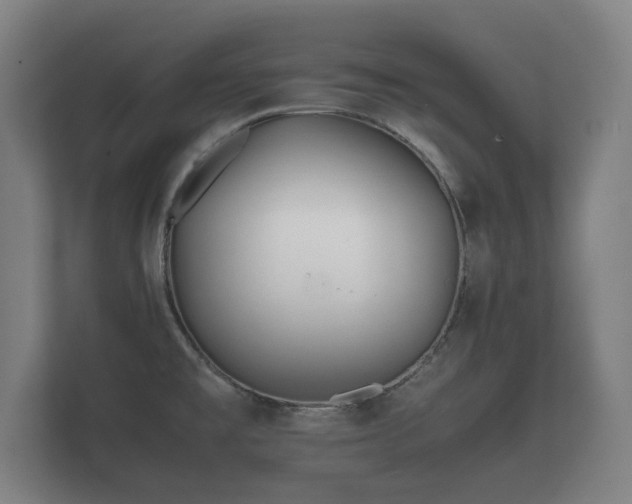 X0000112371477200908201452